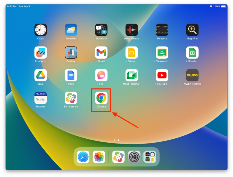 cogat_chrome.png cogat_chrome.png
